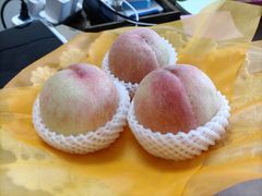 -老袁家蜜桃农场·阳山水蜜桃