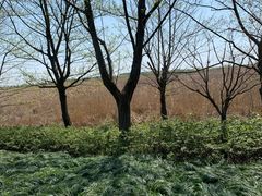 -同里国家湿地公园