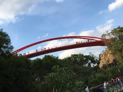 -金鸡山公园