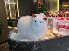 -百草滩羊清水涮羊肉·清真·宁夏盐池滩羊(莲花桥店)