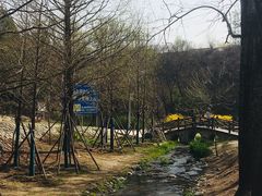 -白水寺森林公园