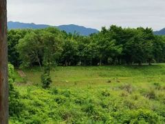 -福建鲤鱼洲酒店