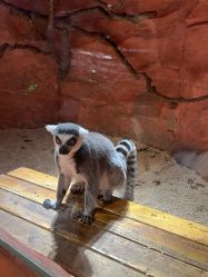 -Zoolung Zoolung动物主题公园(海信广场店)