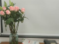 -上海大自然野生昆虫馆(东方明珠·爬宠昆虫探索中心)