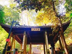 -韬光茶庵