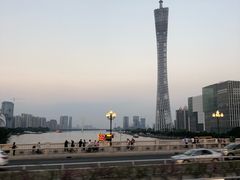 -广州都市观光巴士(粤陶巴)