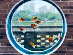 -珠海圆明新园