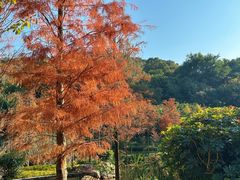 -云溪植物园