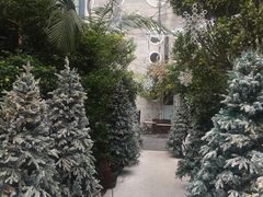 -The Grounds of Alexandria