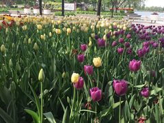 -石家庄市植物园