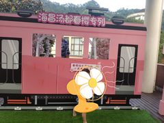 -重庆南山海昌汤都