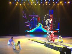 -重庆国际马戏城