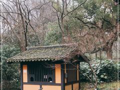 -慧因高丽寺
