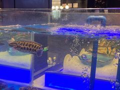 -SEA西雅图海鲜自助餐厅(海乐世界店)