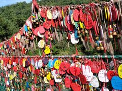 -西双版纳原始森林公园