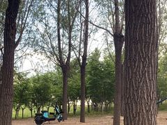 -马家湾湿地公园