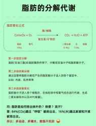 -Fundi张玉珊修身堂·indiba·BTL科技瘦身