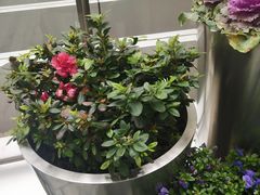 -中海环宇荟