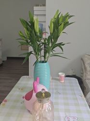 点击看大图 -贝爱妈咪科技美容产后修复(大悦城店)