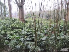 -天目湖御水温泉·度假酒店