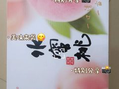 -老袁家蜜桃农场·阳山水蜜桃