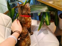 -小时光咖啡馆(北锣鼓巷店)