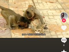 -昆明动物园