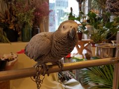 -森野花艺培训·企业团建活动沙龙