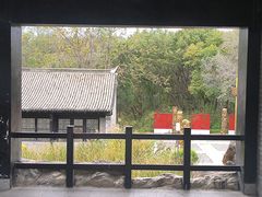 -沈阳植物园