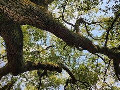 -宁波市保国寺古建筑博物馆