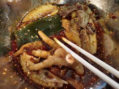 -舒记钵钵鸡