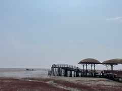 -红海滩国家风景廊道