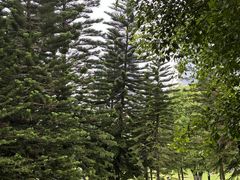 -重庆中央公园(渝北区)