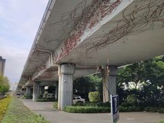 -龙江公园