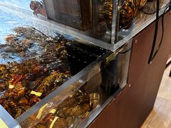-RED LOBSTER(环球影城大阪店)