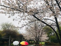 -玉山公园