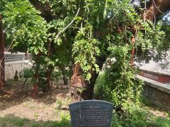 -泰山风景名胜区-普照寺