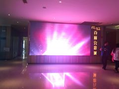 -百丽宫影城(CGS激光苏宁广场店)