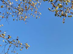 -北山街历史文化街区