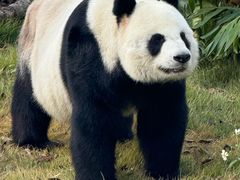 -柳州市动物园