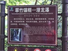 -藏龙百瀑风景区