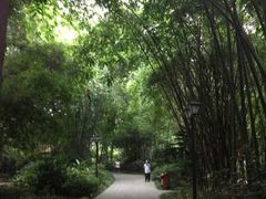 iphone_upload_pic-望江楼公园