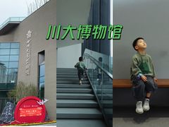 -四川大学博物馆