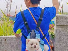 -北岐滩涂