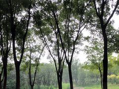 -东郊湿地公园