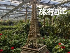 -南宫五洲植物乐园