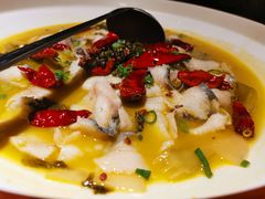 -船歌·鱼水饺青岛菜(闽江二路店)
