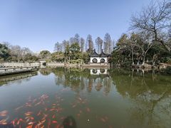 -红梅公园