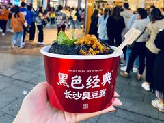 -黑色经典臭豆腐·湖南特产(坡子街店)