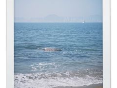 -白城沙滩